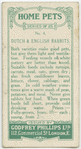 Dutch and English rabbits.