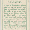 Guinea-pigs.