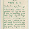 White mice.