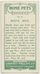 White mice.