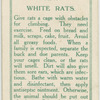 White rats.