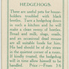 Hedgehogs.