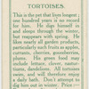 Tortoises.