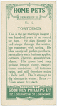 Tortoises.