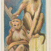 Monkeys.