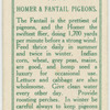 Homer and Fantail pigeons.