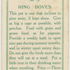 Ring doves.