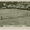 Tennis at Wimbledon (1)