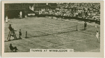 Tennis at Wimbledon (1)