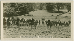 Warwickshire foxhounds.
