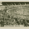 Greyhound racing (1).