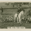The Vine fox-hunt.