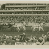 Royal Ascot.