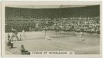 Tennis at Wimbledon (2)