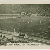 Cup Final at Wembley.