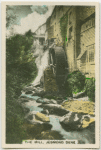 The Mill, Jesmond Dene.