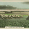 An evening scene in Sussex.