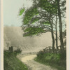 A west county lane.