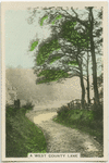 A west county lane.