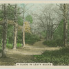 A glade in leafy Bucks.