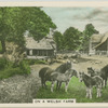 On a Welsh farm.