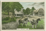 On a Welsh farm.
