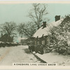 A Cheshire lane under snow.