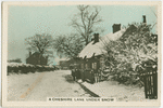 A Cheshire lane under snow.