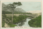In the quiet hills.