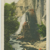 The Mill, Jesmond Dene.