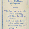 Sweet emblems of England.