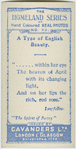 A type of English beauty.