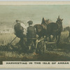 Harvesting in the Isle of Arran.