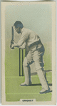 Cricket.