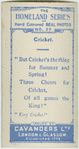 Cricket.