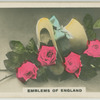 Emblems of England.