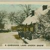 A Cheshire lane under snow.