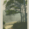 A west county lane.