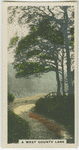 A west county lane.