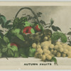 Autumn fruits.