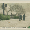 Mid-winter in a Surrey lane.
