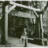 Woman posing with book by the entrance to Muir Woods National Monument