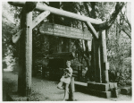 Woman posing with book by the entrance to Muir Woods National Monument