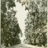 Kearney Ave, Fresno, California