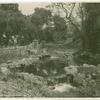 Verdugo Woodlands, one of the beautiful breathing spots of Glendale, C.A.