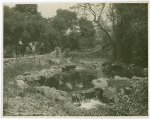 Verdugo Woodlands, one of the beautiful breathing spots of Glendale, C.A.