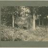 Memorial of William Hamilton Gibson