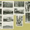 Muir Woods and Mt. Tamalpais montage