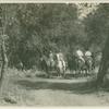 Men on horseback through bridle trails of Arroyo Seco