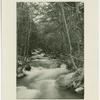 Mountain brook in San Antonio Canyon
